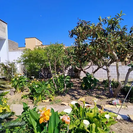 Holiday home Adamo Flat *