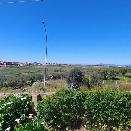 Adamo Flat